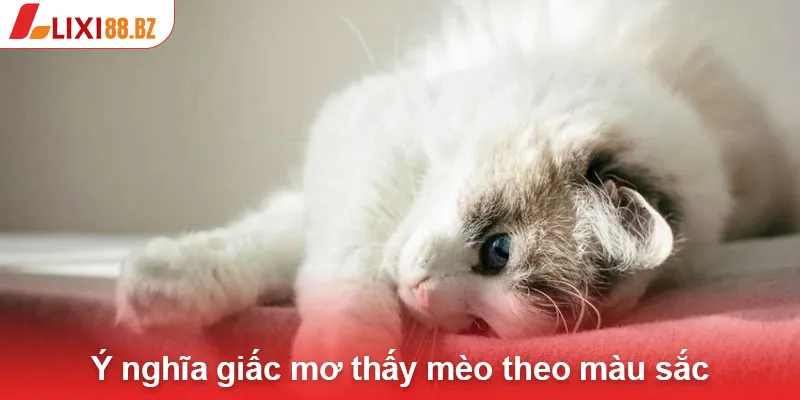 Ý nghĩa giấc mơ thấy mèo theo màu sắc