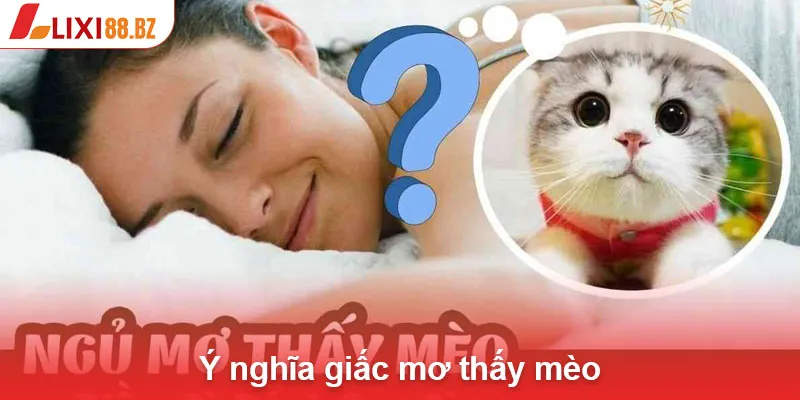 Ý nghĩa giấc mơ thấy mèo