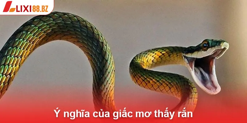 Ý nghĩa của giấc mơ thấy rắn