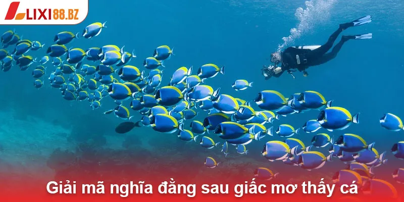 Giải mã nghĩa đằng sau giấc mơ thấy cá