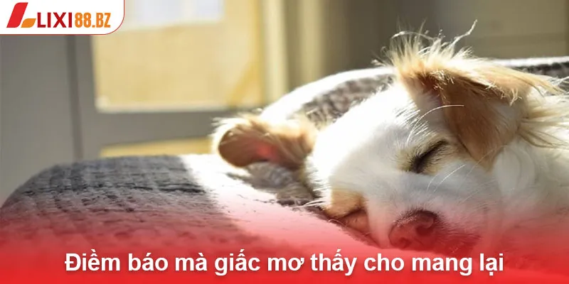 Điềm báo mà giấc mơ thấy cho mang lại