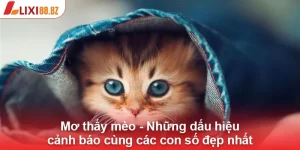 Mơ thấy Mèo