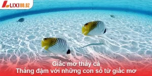 Mơ thấy cá